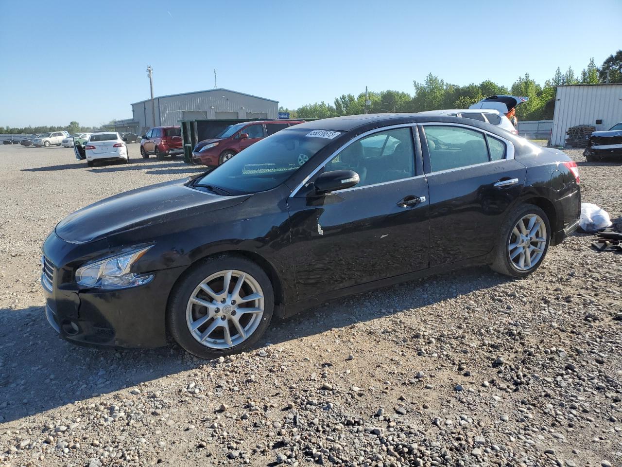 2009 Nissan Maxima S продається в Memphis, TN - Normal Wear
