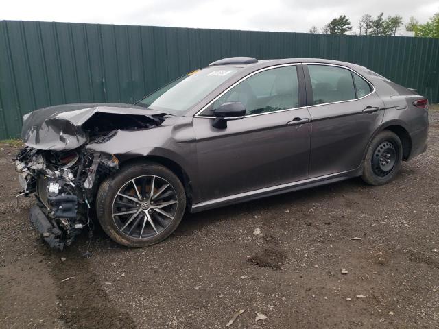  TOYOTA CAMRY 2021 Gray