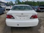 2003 Lexus Es 300 for Sale in Louisville, KY - Rear End