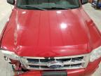 2010 Ford Escape Xlt for Sale in Milwaukee, WI - Front End