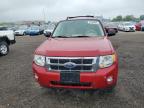 2011 Ford Escape Xlt იყიდება Des Moines-ში, IA - Rear End