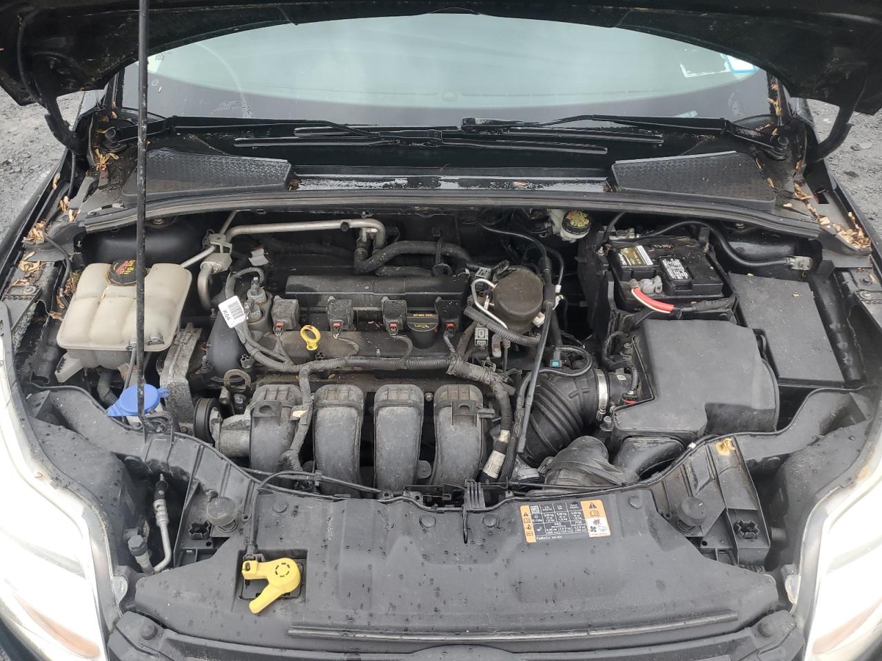 2014 Ford Focus Se VIN: 1FADP3F25EL300779 Lot: 56763655