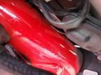 2020 Ducati Monster 821 for Sale in Miami, FL - Side