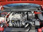 2020 Toyota Corolla Le за продажба в Louisville, KY - Hail