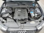 Littleton, CO에서 판매 중인 2016 Audi A5 Premium Plus S-Line - Rear End