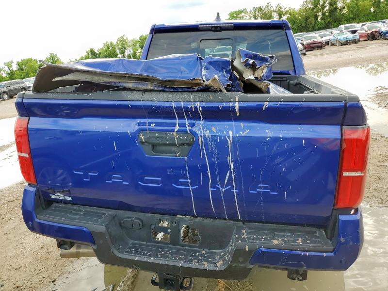  TOYOTA TACOMA 2024 Blue