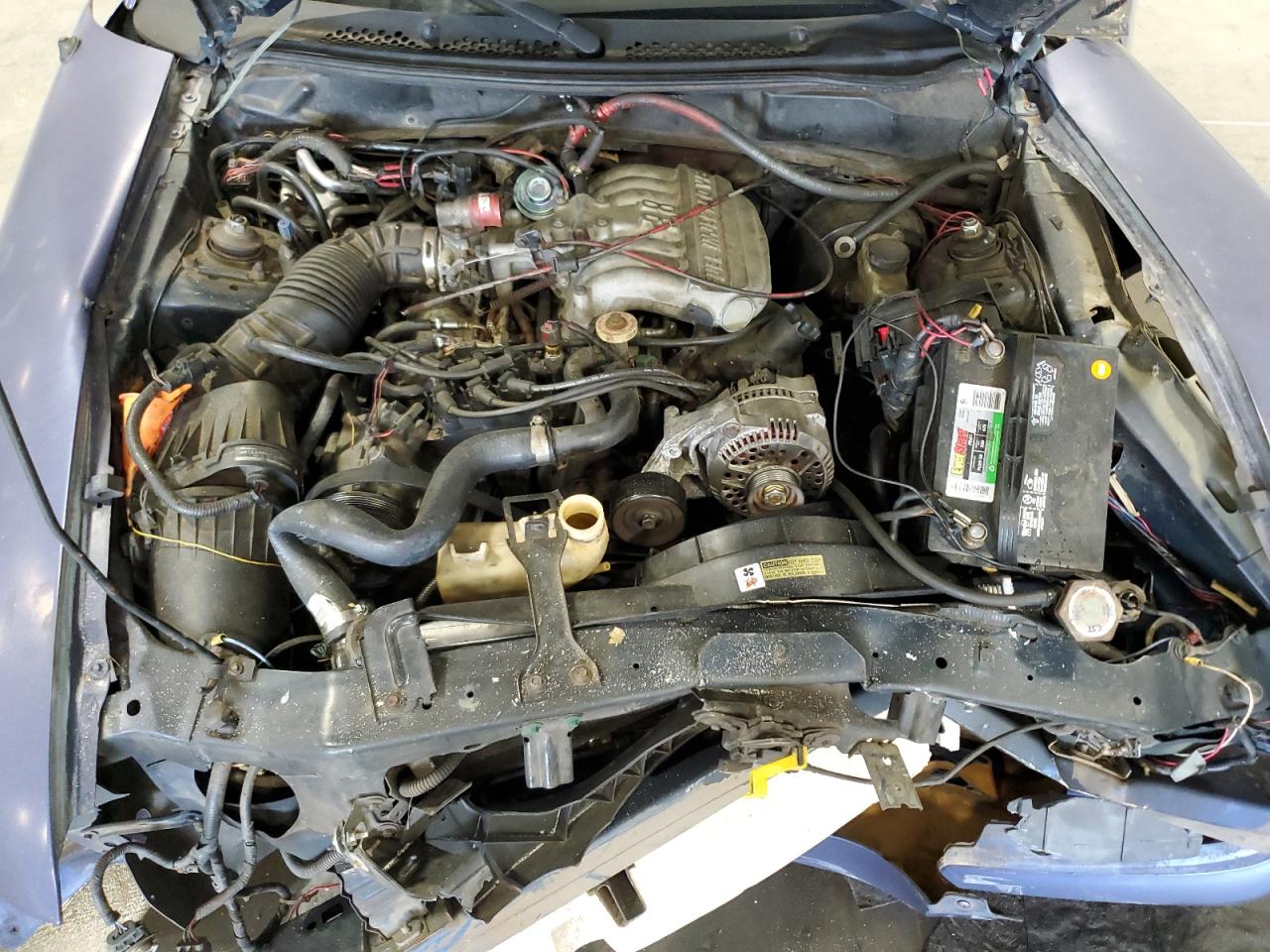 1996 Ford Mustang VIN: 1FALP4047TF185562 Lot: 55995745