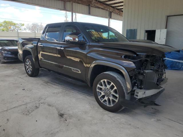  TOYOTA TUNDRA 2024 Brown