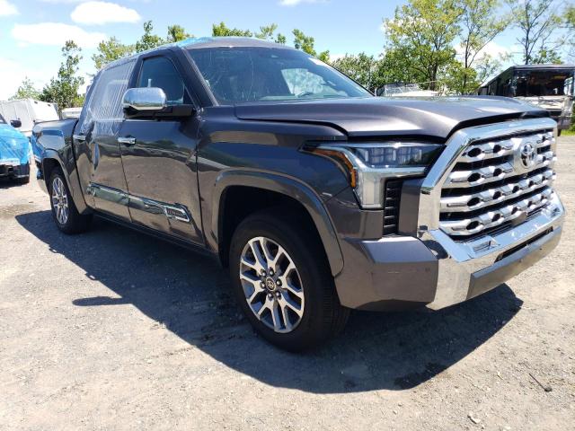  TOYOTA TUNDRA 2022 Gray