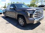 2022 Toyota Tundra Crewmax Platinum продається в Marlboro, NY - Side