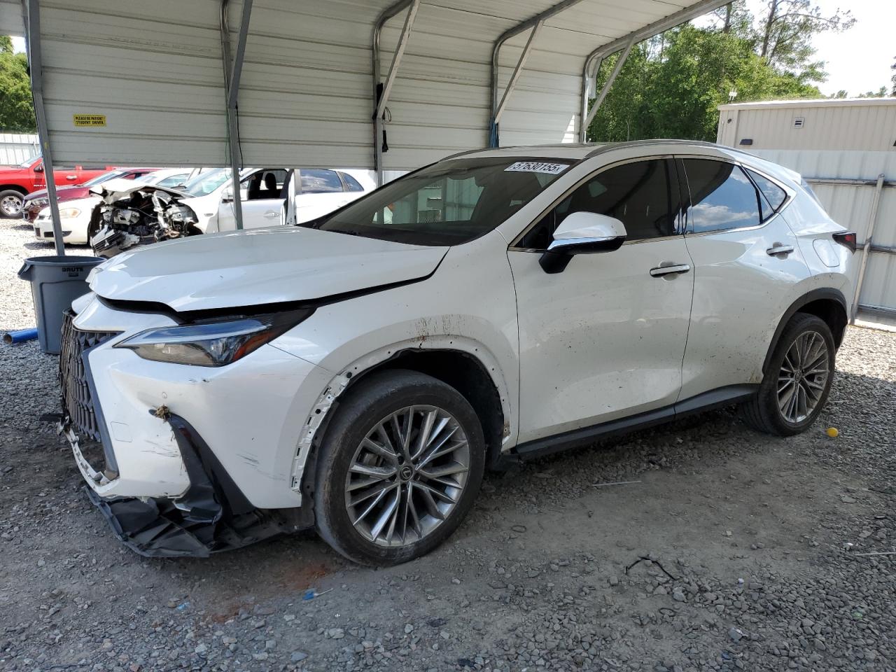 2022 Lexus Nx 350 for Sale in Augusta, GA - Front End