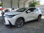 2022 Lexus Nx 350   for Sale in Augusta, GA - Front End