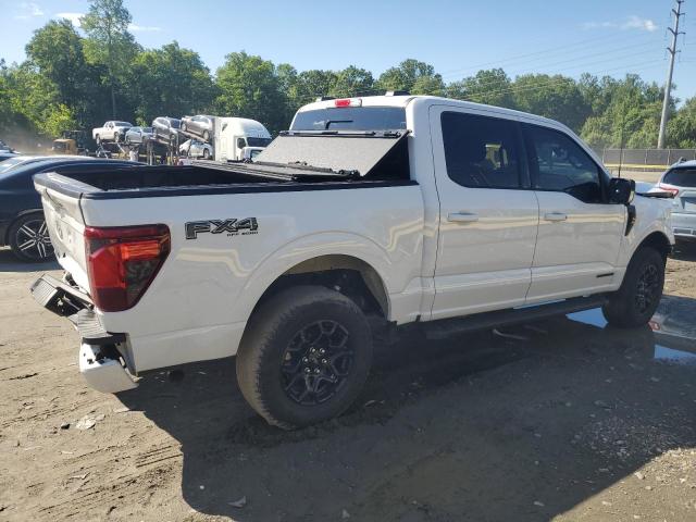  FORD All Models 2024 Білий