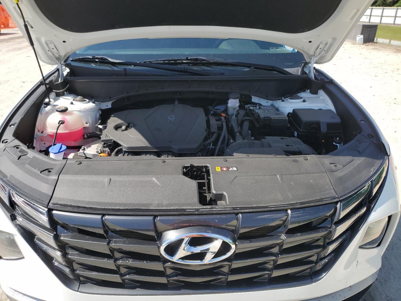 2022 Hyundai Tucson Sel VIN: 5NMJB3AE3NH124569 Lot: 55614215