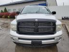 2004 Dodge Ram 1500 St   de vânzare în Louisville, KY - Rear End