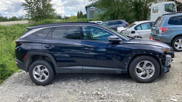  HYUNDAI TUCSON 2024 Blue