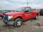 2009 Ford F150  იყიდება Indianapolis-ში, IN - Top/Roof