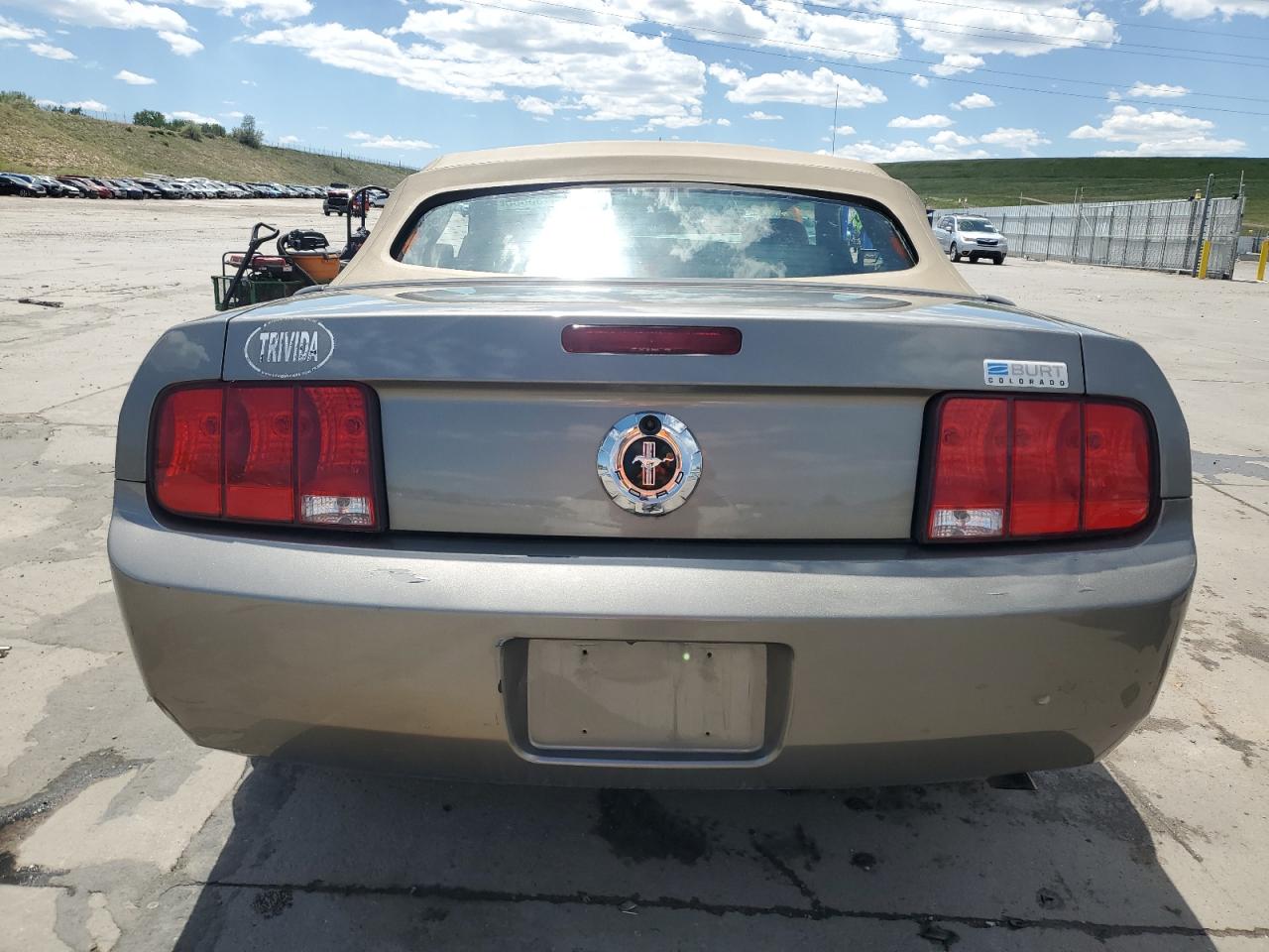 2005 Ford Mustang VIN: 1ZVFT84N655207439 Lot: 56136855