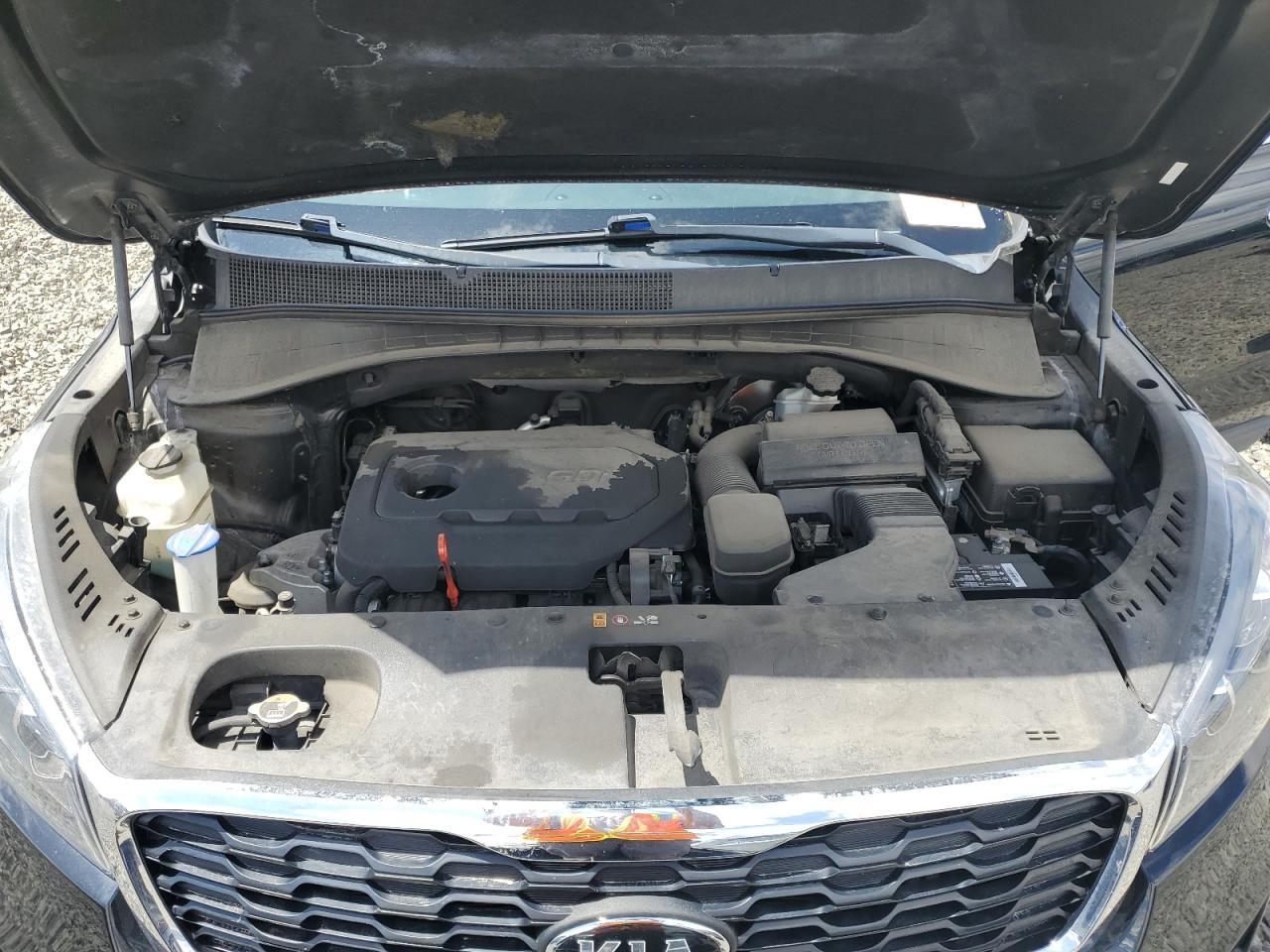 2019 Kia Sorento L VIN: 5XYPG4A36KG455538 Lot: 57507765
