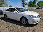 2010 Lexus Es 350 იყიდება Windsor-ში, NJ - Rear End