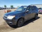 2011 SUBARU FORESTER LIMITED   for sale at Copart AB - CALGARY