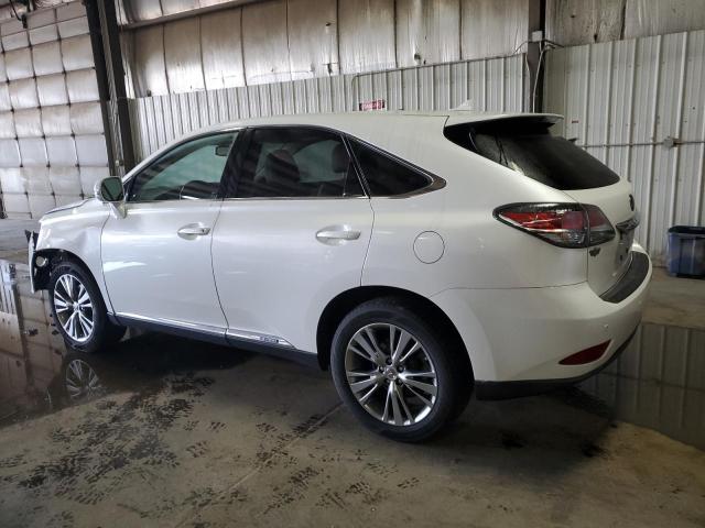  LEXUS RX450 2013 Белы