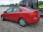 2013 Kia Forte Ex იყიდება Walton-ში, KY - Minor Dent/Scratches