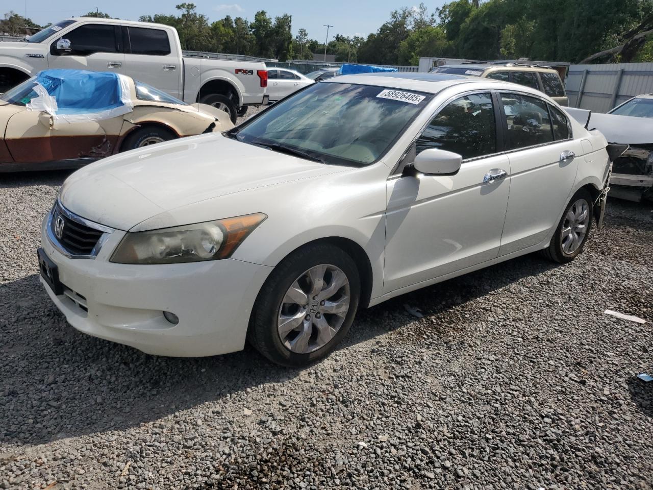 2009 Honda Accord Exl en Venta en Riverview, FL - Rear End