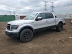 Elgin, IL에서 판매 중인 2014 Ford F150 Supercrew - Rear End