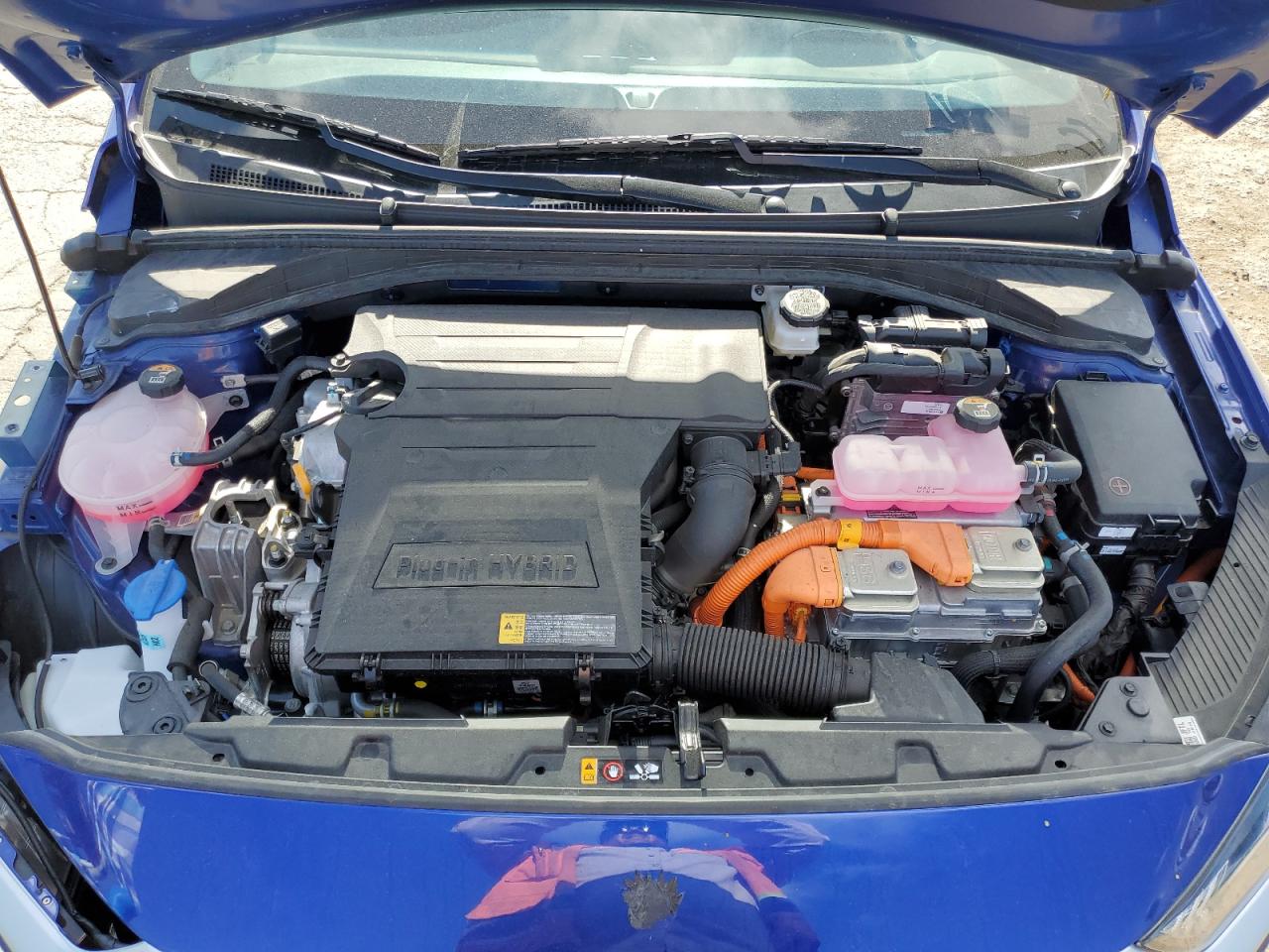 2022 Hyundai Ioniq Sel VIN: KMHC75LD3NU264961 Lot: 56513055
