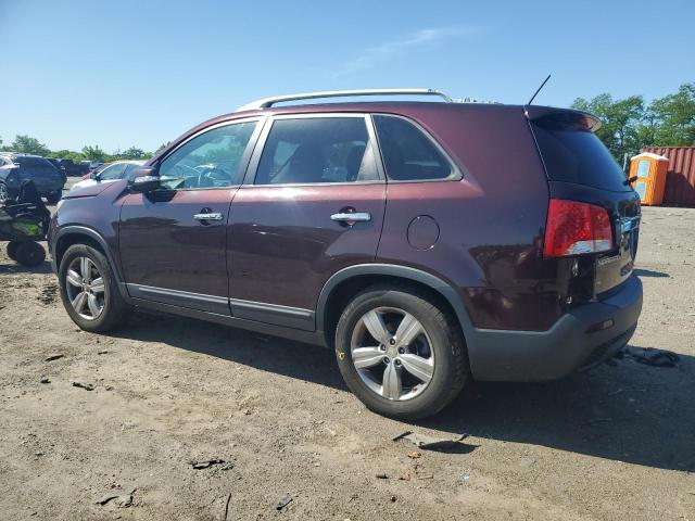 KIA SORENTO 2012 Purple