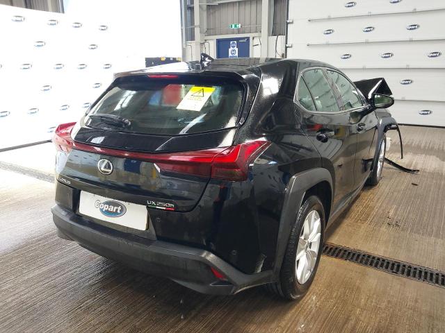 2024 LEXUS UX 250H 4X