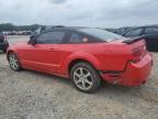 2008 Ford Mustang Gt for Sale in Memphis, TN - Minor Dent/Scratches