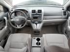 2007 Honda Cr-V Lx for Sale in Hillsborough, NJ - Front End