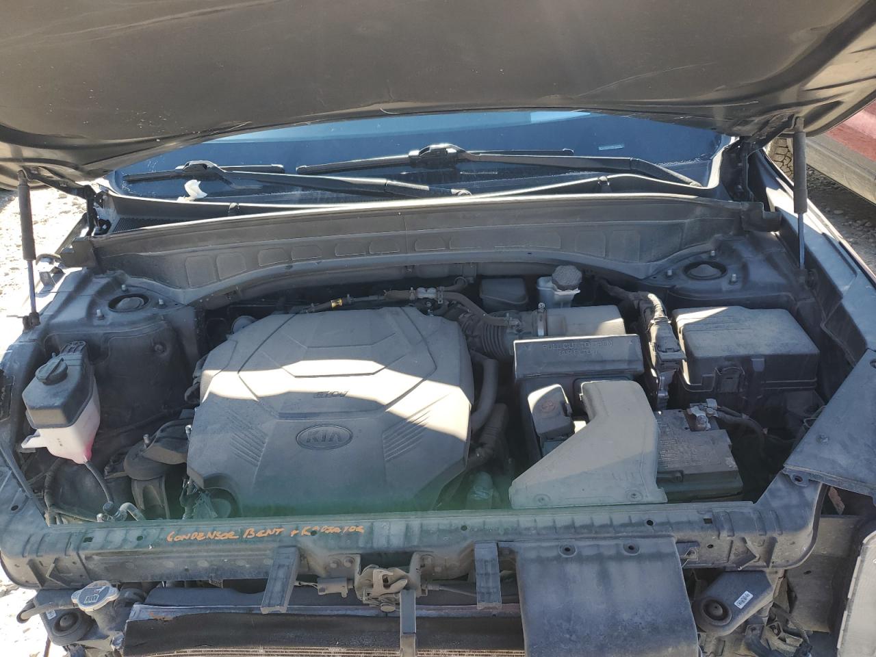 2021 Kia Telluride Sx VIN: 5XYP5DHC4MG162476 Lot: 55574275