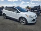 2016 Ford Escape Se de vânzare în Albuquerque, NM - Vandalism