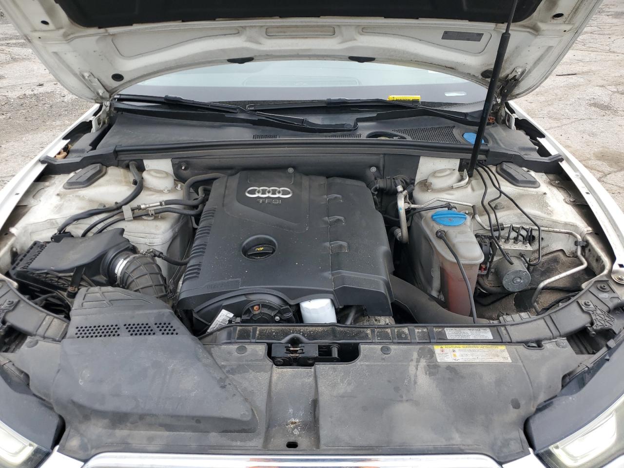 2013 Audi A5 Premium Plus VIN: WAULFAFR8DA000445 Lot: 56542345