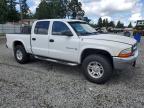2001 Dodge Dakota Quad იყიდება Graham-ში, WA - Vandalism