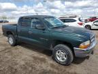 2001 Dodge Dakota Quad for Sale in Greenwood, NE - Side