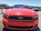 2014 Ford Mustang  for Sale in Las Vegas, NV - Rear End