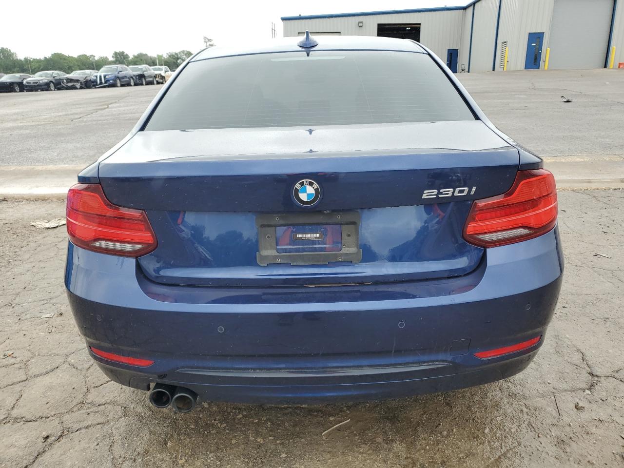 2019 BMW 230I VIN: WBA2J1C52KVD09915 Lot: 55355365