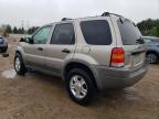2001 Ford Escape Xlt for Sale in Elgin, IL - Front End