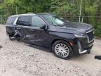 2021 Cadillac Escalade Premium Luxury en Venta en Northfield, OH - Rear End