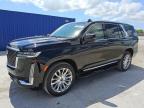2023 Cadillac Escalade Premium Luxury en Venta en Homestead, FL - Normal Wear