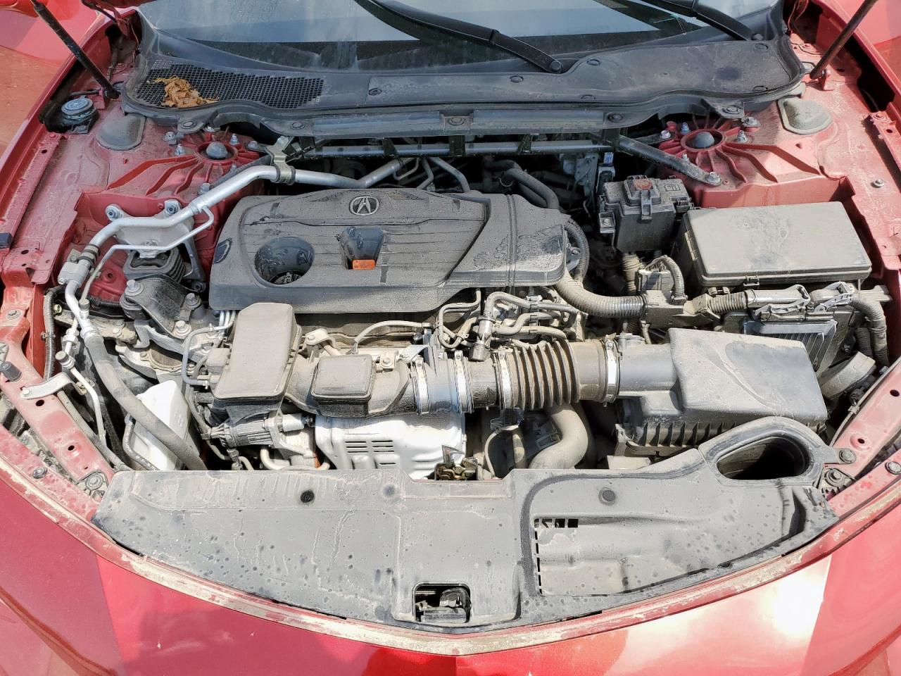 2021 Acura Tlx Tech A VIN: 19UUB5F56MA006043 Lot: 57284725