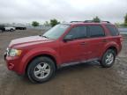 2010 Ford Escape Xlt for Sale in London, ON - Side