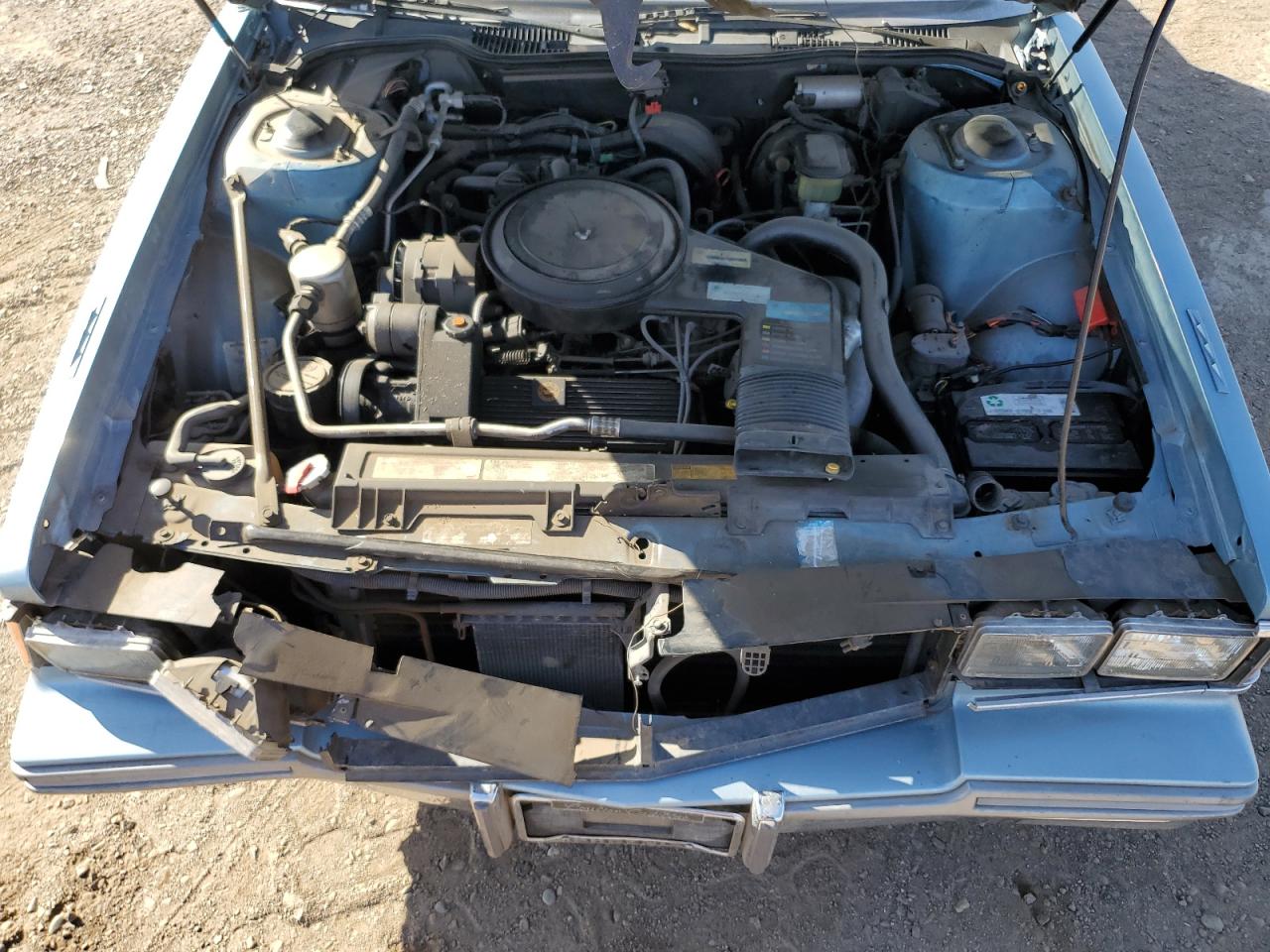 1986 Cadillac Deville Base VIN: 1G6CD6982G4356663 Lot: 56716825