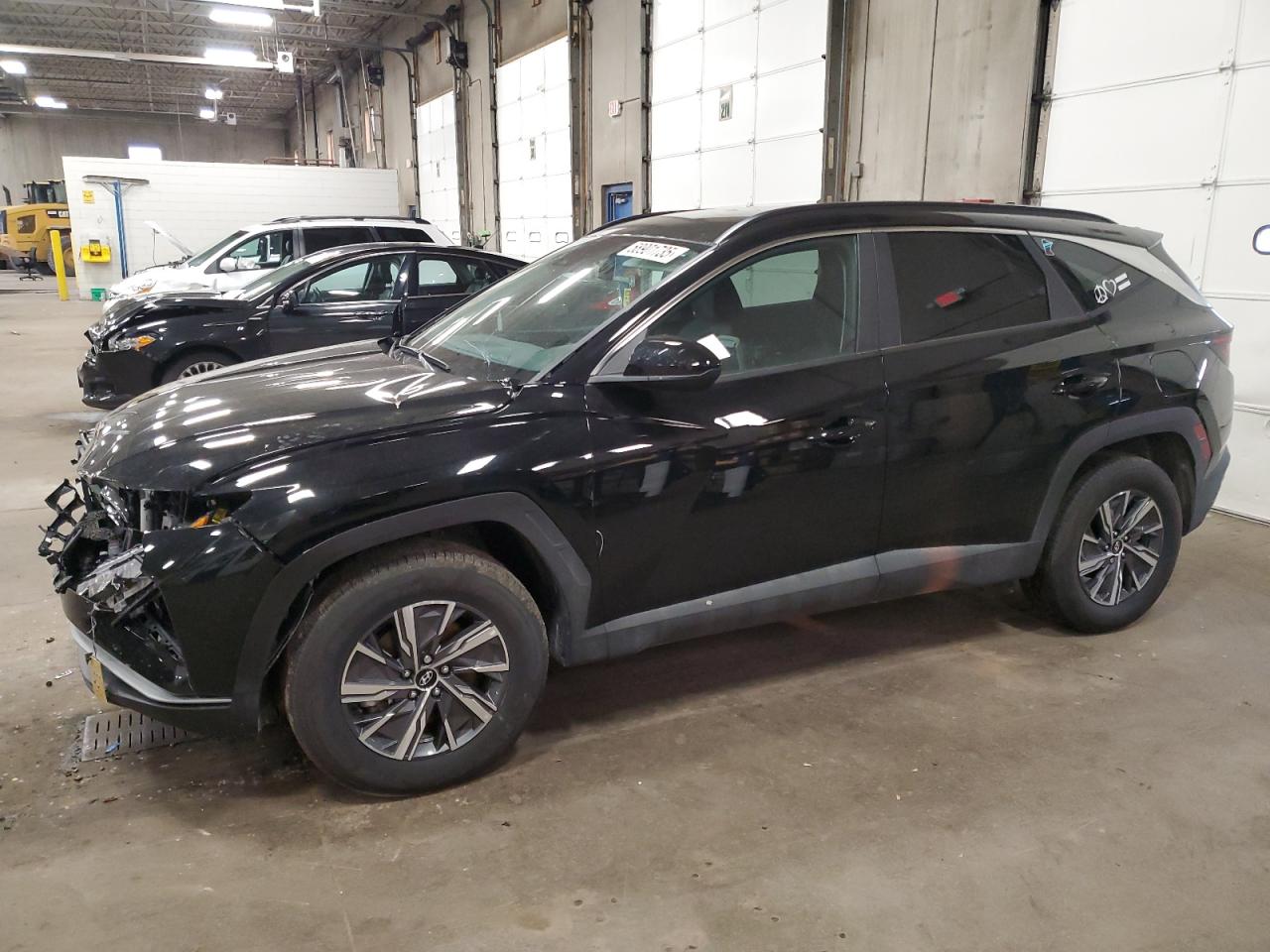 2024 Hyundai Tucson Blue იყიდება Blaine-ში, MN - Front End