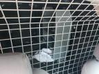 2017 Nissan Nv200 2.5S for Sale in Franklin, WI - Front End
