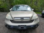 2007 HONDA CR-V EXL for sale at Copart ON - COOKSTOWN